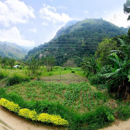 Ella Paddy Field View Guest Inn Exterior foto